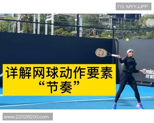 从零基础到高手之路网球节奏与技巧全方位解析与实战指南